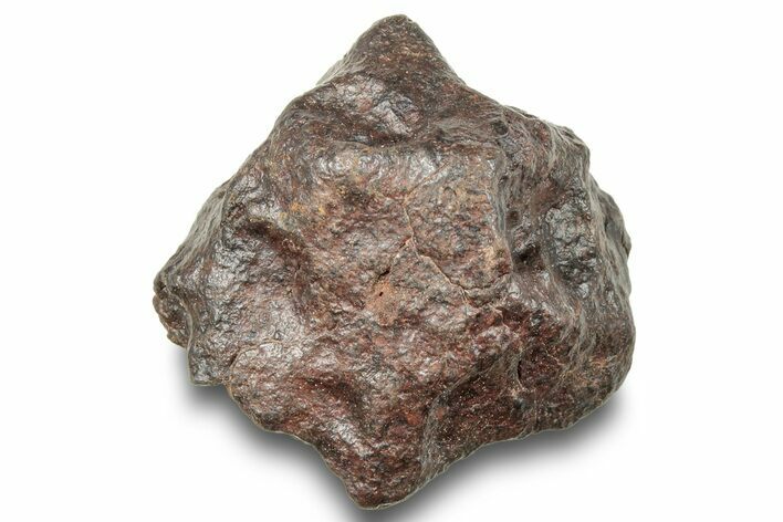 Chondrite Meteorite ( g) - Western Sahara Desert #247489